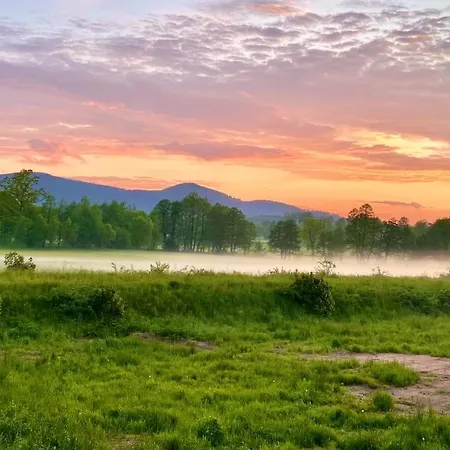 Apartman Czarna Perla