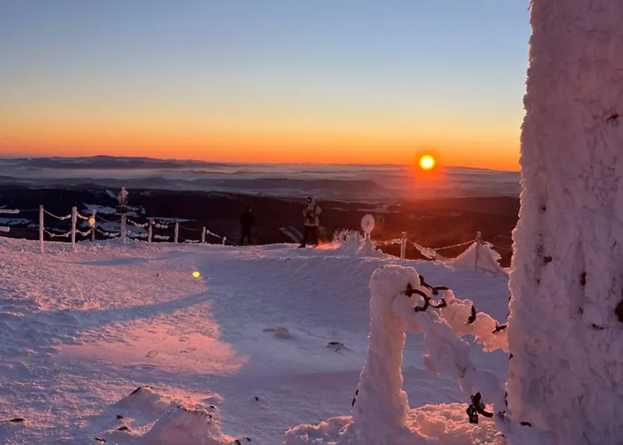 Apartamento Czarna Perla Kowary